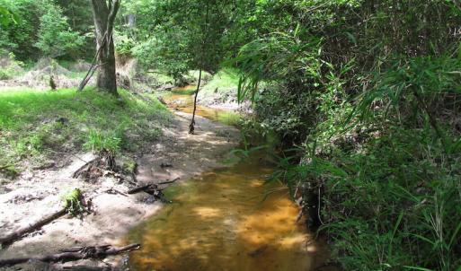 Photo of SOLD!  30 Acres of Hunting and Farm Land For Sale in Southampton County VA!