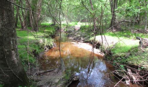 Photo of SOLD!  30 Acres of Hunting and Farm Land For Sale in Southampton County VA!