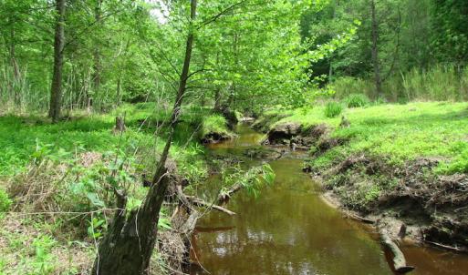 Photo of SOLD!  30 Acres of Hunting and Farm Land For Sale in Southampton County VA!