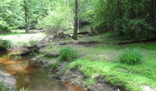 Photo of SOLD!  30 Acres of Hunting and Farm Land For Sale in Southampton County VA!