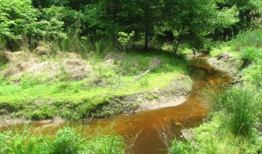 Photo of SOLD!  30 Acres of Hunting and Farm Land For Sale in Southampton County VA!