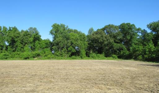 Photo of UNDER CONTRACT!  380 Acres of Farm and Timber Land For Sale in Robeson and Hoke Counties!