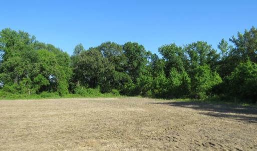 Photo of UNDER CONTRACT!  380 Acres of Farm and Timber Land For Sale in Robeson and Hoke Counties!