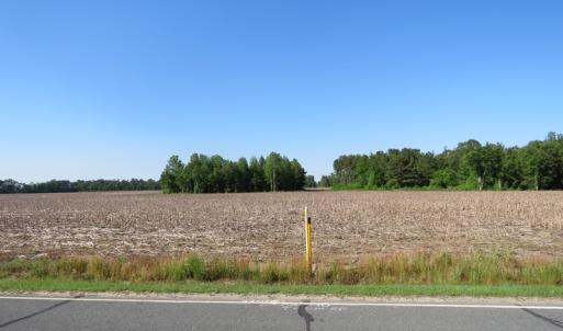 Photo of UNDER CONTRACT!  380 Acres of Farm and Timber Land For Sale in Robeson and Hoke Counties!