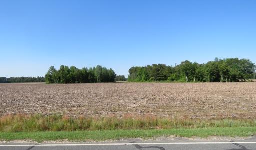 Photo of UNDER CONTRACT!  380 Acres of Farm and Timber Land For Sale in Robeson and Hoke Counties!