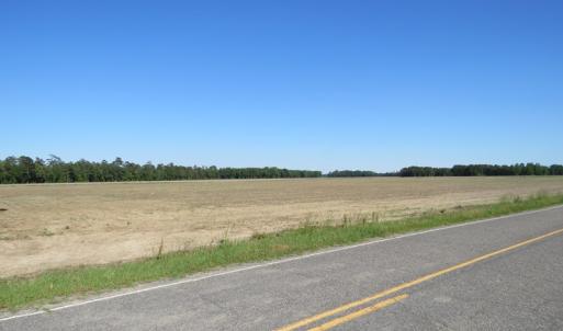 Photo of UNDER CONTRACT!  380 Acres of Farm and Timber Land For Sale in Robeson and Hoke Counties!