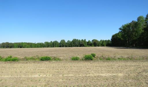 Photo of UNDER CONTRACT!  380 Acres of Farm and Timber Land For Sale in Robeson and Hoke Counties!