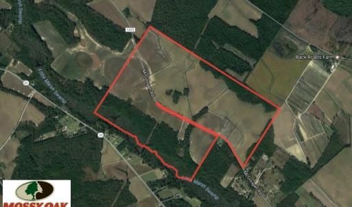 Photo of UNDER CONTRACT!  380 Acres of Farm and Timber Land For Sale in Robeson and Hoke Counties!