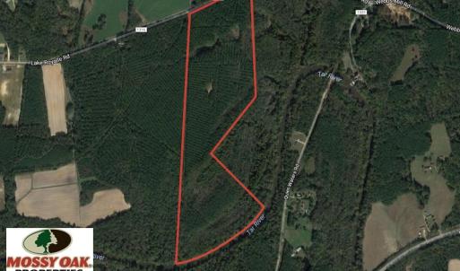 Photo of UNDER CONTRACT!  77 Acres of Riverfront Hunting Land For Sale in Nash County NC!