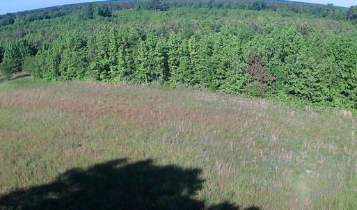 Photo of UNDER CONTRACT!  60 Acres of Farm and Timber Land For Sale in Halifax County NC!