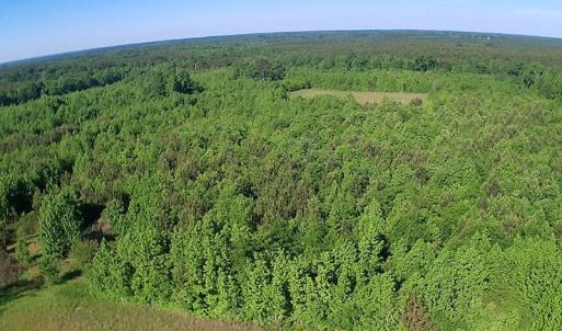 Photo of UNDER CONTRACT!  60 Acres of Farm and Timber Land For Sale in Halifax County NC!