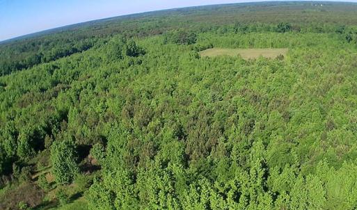 Photo of UNDER CONTRACT!  60 Acres of Farm and Timber Land For Sale in Halifax County NC!