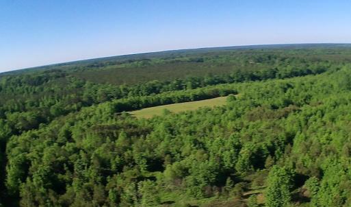 Photo of UNDER CONTRACT!  60 Acres of Farm and Timber Land For Sale in Halifax County NC!