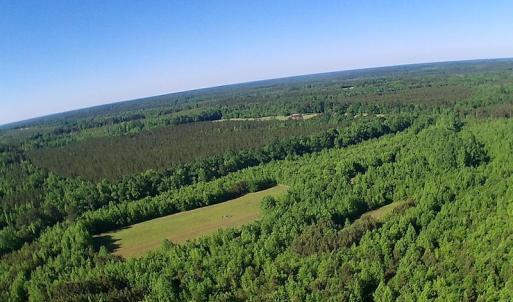 Photo of UNDER CONTRACT!  60 Acres of Farm and Timber Land For Sale in Halifax County NC!