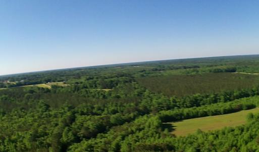 Photo of UNDER CONTRACT!  60 Acres of Farm and Timber Land For Sale in Halifax County NC!