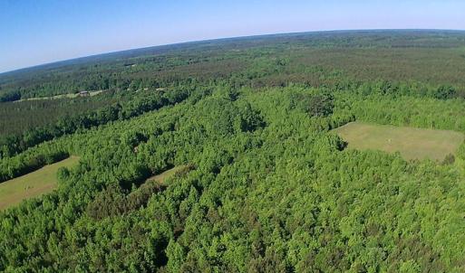 Photo of UNDER CONTRACT!  60 Acres of Farm and Timber Land For Sale in Halifax County NC!