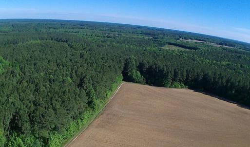 Photo of UNDER CONTRACT!  60 Acres of Farm and Timber Land For Sale in Halifax County NC!