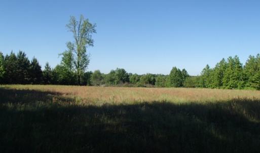Photo of UNDER CONTRACT!  60 Acres of Farm and Timber Land For Sale in Halifax County NC!