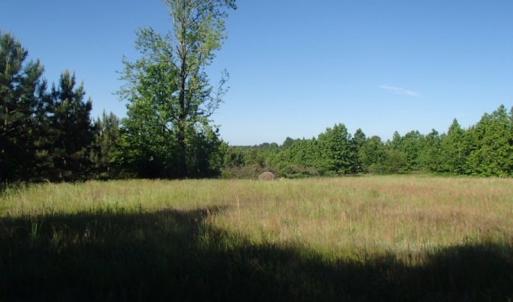 Photo of UNDER CONTRACT!  60 Acres of Farm and Timber Land For Sale in Halifax County NC!