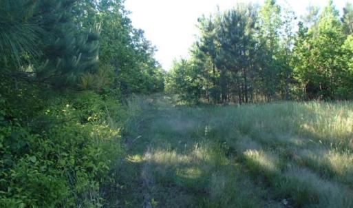 Photo of UNDER CONTRACT!  60 Acres of Farm and Timber Land For Sale in Halifax County NC!