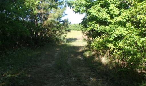Photo of UNDER CONTRACT!  60 Acres of Farm and Timber Land For Sale in Halifax County NC!