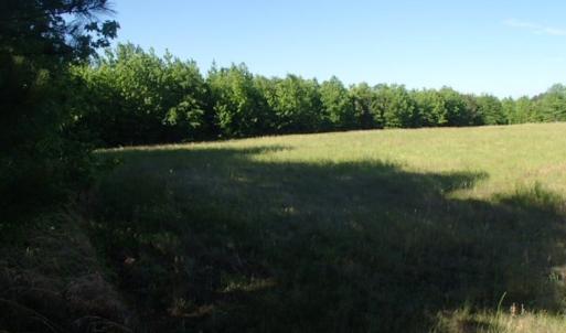 Photo of UNDER CONTRACT!  60 Acres of Farm and Timber Land For Sale in Halifax County NC!