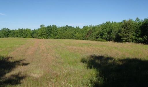 Photo of UNDER CONTRACT!  60 Acres of Farm and Timber Land For Sale in Halifax County NC!