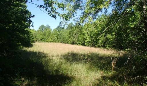 Photo of UNDER CONTRACT!  60 Acres of Farm and Timber Land For Sale in Halifax County NC!