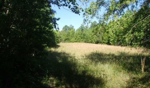 Photo of UNDER CONTRACT!  60 Acres of Farm and Timber Land For Sale in Halifax County NC!