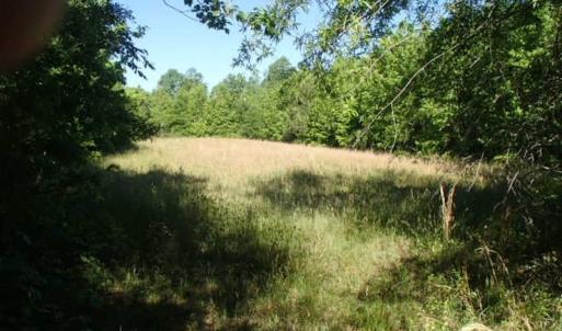 Photo of UNDER CONTRACT!  60 Acres of Farm and Timber Land For Sale in Halifax County NC!