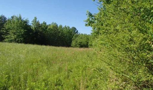 Photo of UNDER CONTRACT!  60 Acres of Farm and Timber Land For Sale in Halifax County NC!