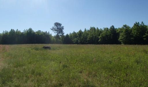 Photo of UNDER CONTRACT!  60 Acres of Farm and Timber Land For Sale in Halifax County NC!