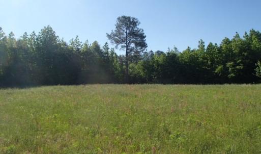 Photo of UNDER CONTRACT!  60 Acres of Farm and Timber Land For Sale in Halifax County NC!