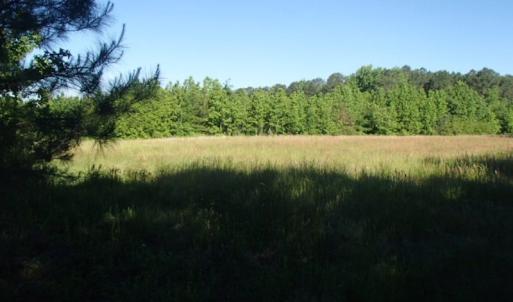 Photo of UNDER CONTRACT!  60 Acres of Farm and Timber Land For Sale in Halifax County NC!