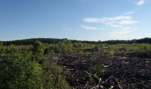 Photo of UNDER CONTRACT!  10 Acres of Residential Hunting Land For Sale in Nash County