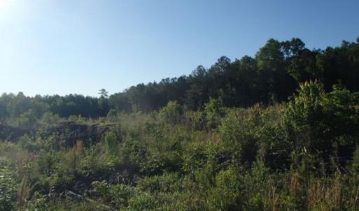 Photo of UNDER CONTRACT!  10 Acres of Residential Hunting Land For Sale in Nash County