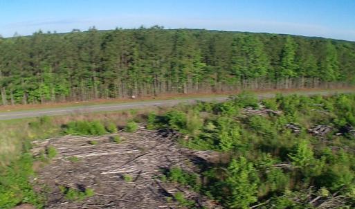 Photo of UNDER CONTRACT!  10 Acres Residential Hunting Land For Sale in Nash County NC!