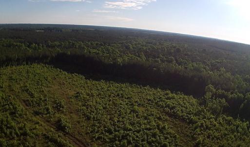 Photo of UNDER CONTRACT!  10 Acres Residential Hunting Land For Sale in Nash County NC!