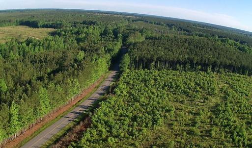 Photo of UNDER CONTRACT!  10 Acres Residential Hunting Land For Sale in Nash County NC!