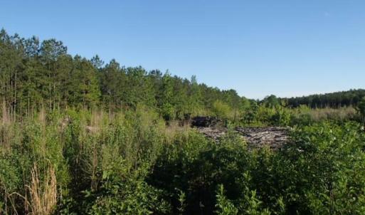 Photo of UNDER CONTRACT!  10 Acres Residential Hunting Land For Sale in Nash County NC!