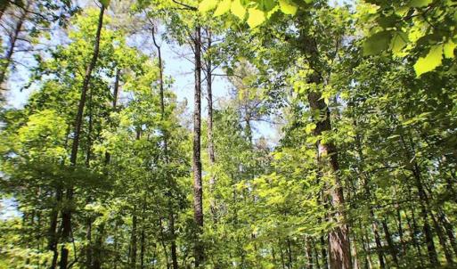 Photo of SOLD!!  8.84 Acres of Residential Land For Sale in Dinwiddie County VA!