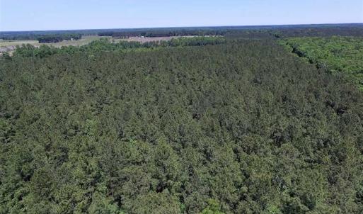 Photo of SOLD!!  8.84 Acres of Residential Land For Sale in Dinwiddie County VA!