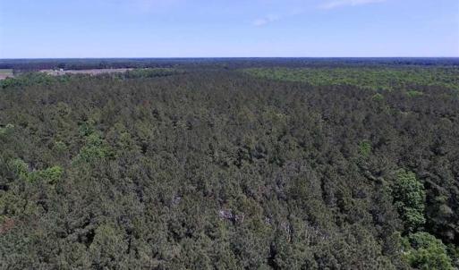 Photo of SOLD!!  8.84 Acres of Residential Land For Sale in Dinwiddie County VA!