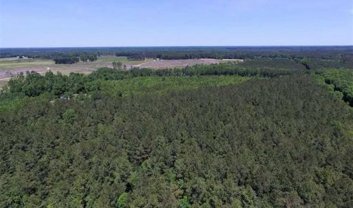 Photo of SOLD!!  8.84 Acres of Residential Land For Sale in Dinwiddie County VA!
