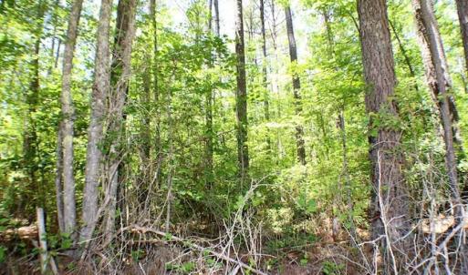 Photo of SOLD!!  8.84 Acres of Residential Land For Sale in Dinwiddie County VA!