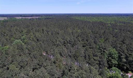 Photo of SOLD!!  8.84 Acres of Residential Land For Sale in Dinwiddie County VA!