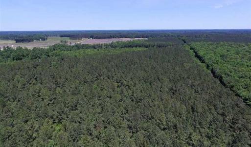 Photo of SOLD!!  8.84 Acres of Residential Land For Sale in Dinwiddie County VA!