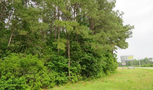 Photo of SOLD!  57 Acres of Timber Land for Sale in Columbus County NC!