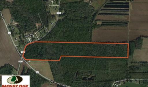Photo of SOLD!  57 Acres of Timber Land for Sale in Columbus County NC!