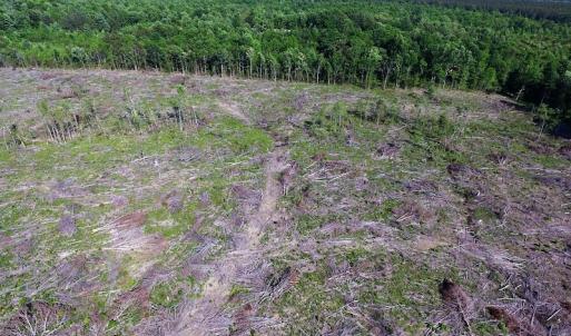 Photo of UNDER CONTRACT!  42 Acres of Residential and Recreational Land For Sale in Charlotte County VA!